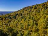 50 Acres Spring Valley Rd - Photo 6