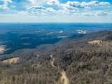 50 Acres Spring Valley Rd - Photo 67