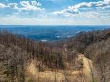 50 Acres Spring Valley Rd - Photo 7
