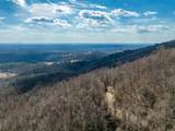50 Acres Spring Valley Rd - Photo 71