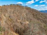 50 Acres Spring Valley Rd - Photo 73
