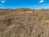 50 Acres Spring Valley Rd - Photo 75