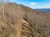 50 Acres Spring Valley Rd - Photo 76