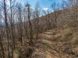 50 Acres Spring Valley Rd - Photo 77