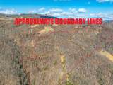 50 Acres Spring Valley Rd - Photo 8