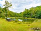 50 Acres Spring Valley Rd - Photo 84