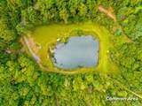 50 Acres Spring Valley Rd - Photo 86