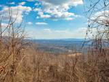 50 Acres Spring Valley Rd - Photo 9