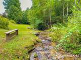 50 Acres Spring Valley Rd - Photo 90