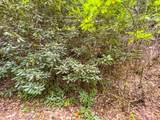 255 Covered Bridge Trl - Photo 18