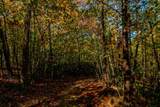 6 Lots Old Pond Trl - Photo 1