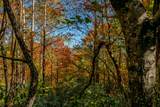 6 Lots Old Pond Trl - Photo 10