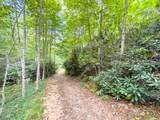 6 Lots Old Pond Trl - Photo 37