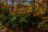 6 Lots Old Pond Trl - Photo 4