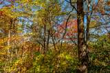 6 Lots Old Pond Trl - Photo 5