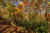 6 Lots Old Pond Trl - Photo 6
