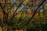 6 Lots Old Pond Trl - Photo 7