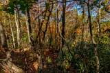 6 Lots Old Pond Trl - Photo 9