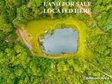 5 Lots Old Pond Trl - Photo 33
