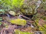 5 Lots Old Pond Trl - Photo 37