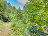 3 Lots Old Pond Trl - Photo 11