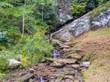 3 Lots Old Pond Trl - Photo 63
