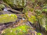 3 Lots Old Pond Trl - Photo 65