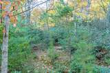 Lot 41 Moonlight Ln - Photo 17
