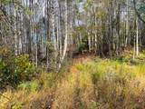 TBD Red Roof Lane - Photo 5