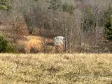 6.86 ac Meadow View Lane - Photo 3