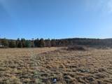 TBD Firehouse Rd - Photo 10