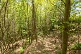 Lot 83 Spring Pond Trl - Photo 14