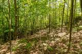 Lot 83 Spring Pond Trl - Photo 18