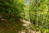 Lot 83 Spring Pond Trl - Photo 19