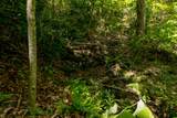 Lot 83 Spring Pond Trl - Photo 21