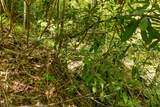 Lot 83 Spring Pond Trl - Photo 22