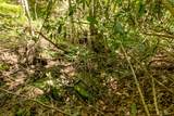 Lot 83 Spring Pond Trl - Photo 24