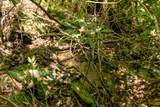 Lot 83 Spring Pond Trl - Photo 25