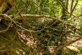 Lot 83 Spring Pond Trl - Photo 27