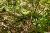 Lot 83 Spring Pond Trl - Photo 29