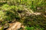 Lot 83 Spring Pond Trl - Photo 3