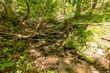Lot 83 Spring Pond Trl - Photo 30