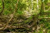 Lot 83 Spring Pond Trl - Photo 31