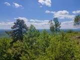 Lot 83 Spring Pond Trl - Photo 43