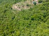 Lot 83 Spring Pond Trl - Photo 50