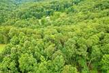 TBD Still House Hollow Road - Photo 6