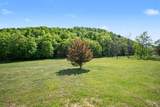9050 Bluegrass Trail - Photo 74