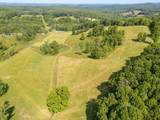 63 Acres Gibson Knob Rd. - Photo 16