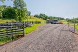 63 Acres Gibson Knob Rd. - Photo 19