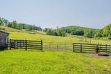 63 Acres Gibson Knob Rd. - Photo 22